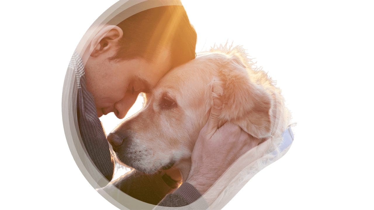 Pet Loss & Grief Support