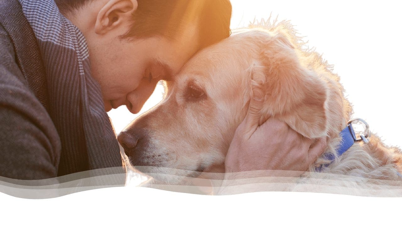 Owner and Dog Eye to Eye