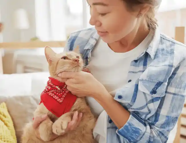 In-home pet euthanasia in Houston, TX