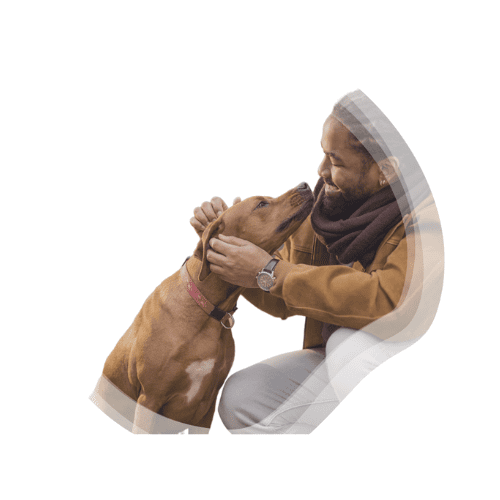 Pet Owner with Dog at Home Euthanasia