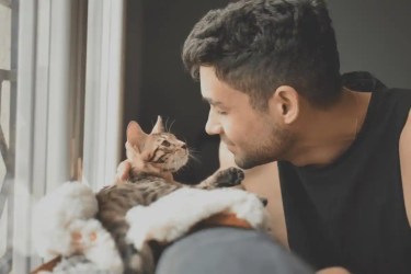 Why At Home Euthanasia Is the Compassionate Choice for Your Pet’s End of Life