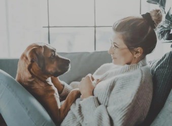 The Role of Pets in Our Lives: Emotional and Social Benefits