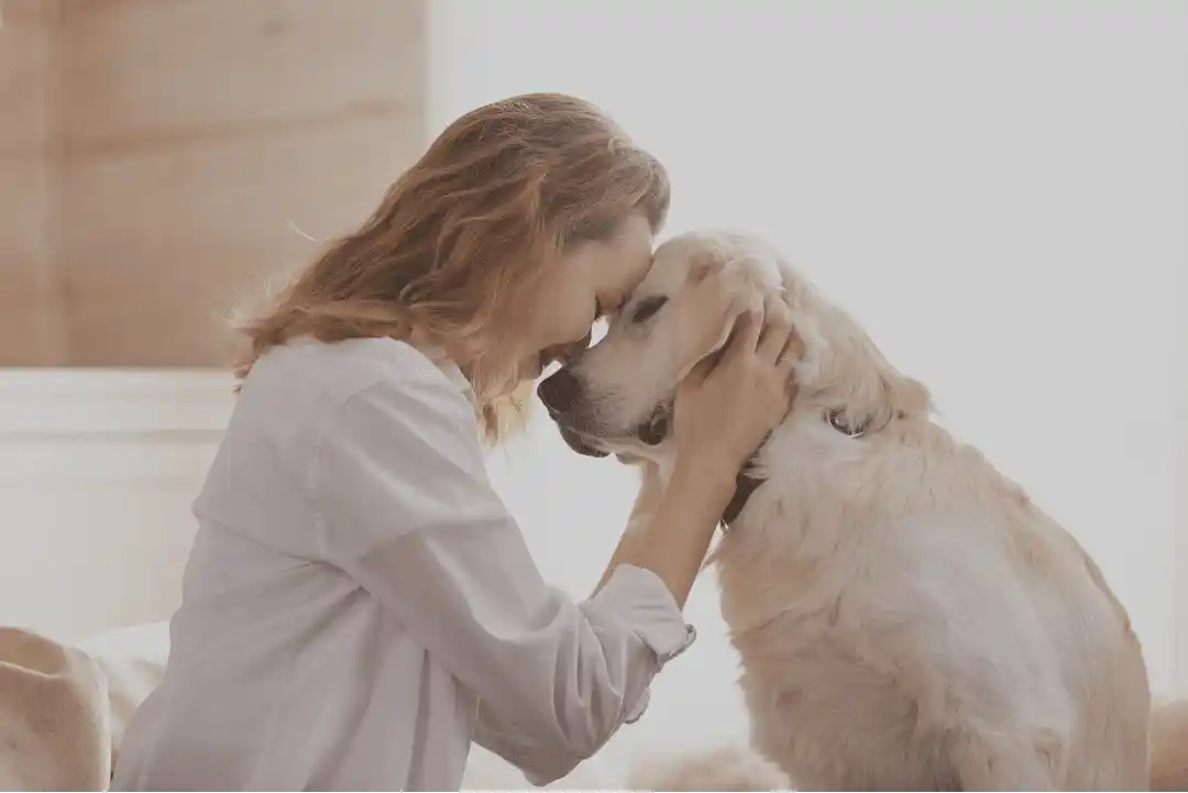 pet parent holding her dog