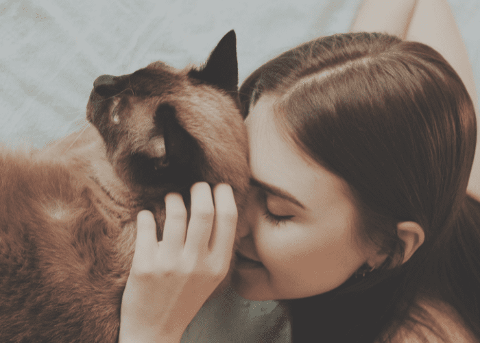 Euthanasia at Home: Why It Might Be the Best Choice for Your Pet