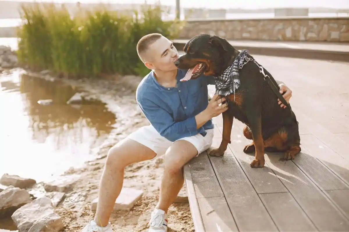 LOVED-posters-1 1 - Loved Young Man Comforting His Aging Rottweiler by a Lakeside Dock Creating Meaningful Summer Memories Before Saying Goodbye