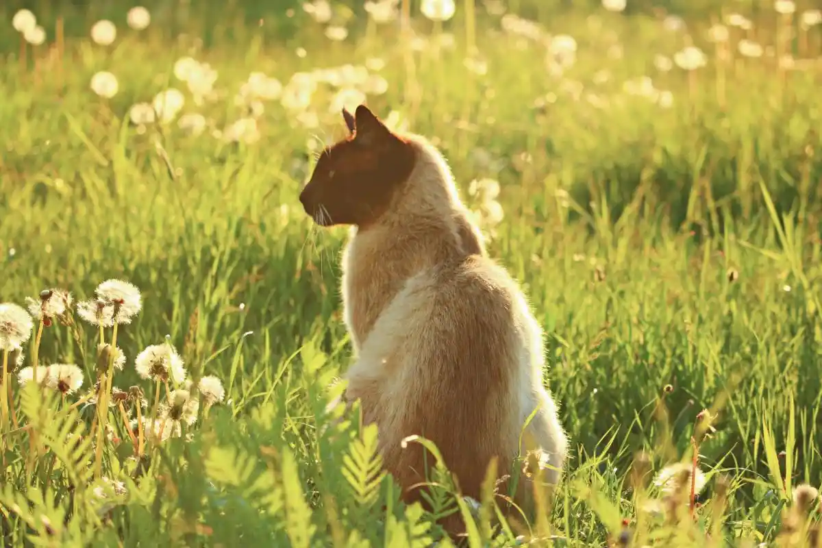 LOVED-posters-2 1 - Loved Loved