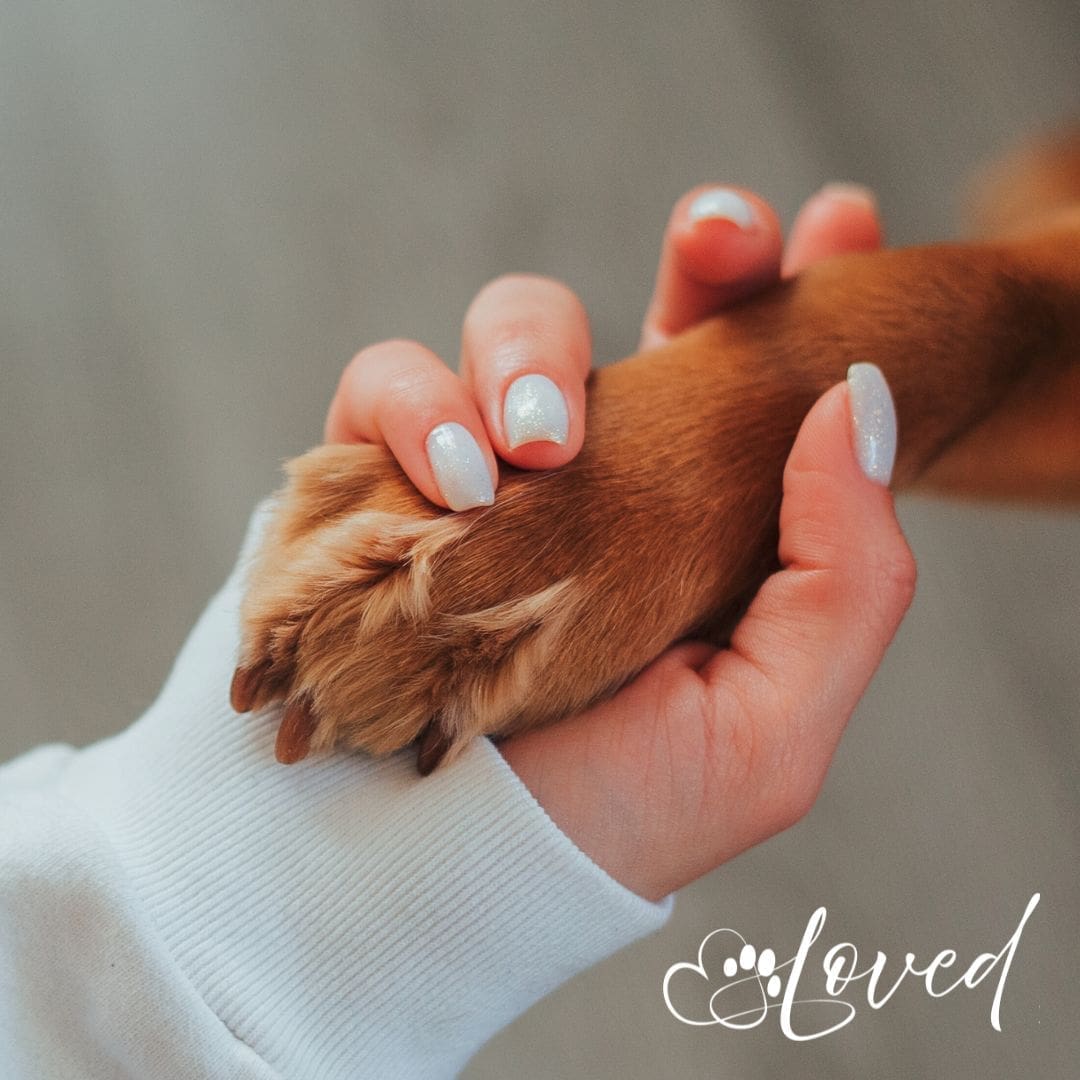 Loved Pet Owner with Dog