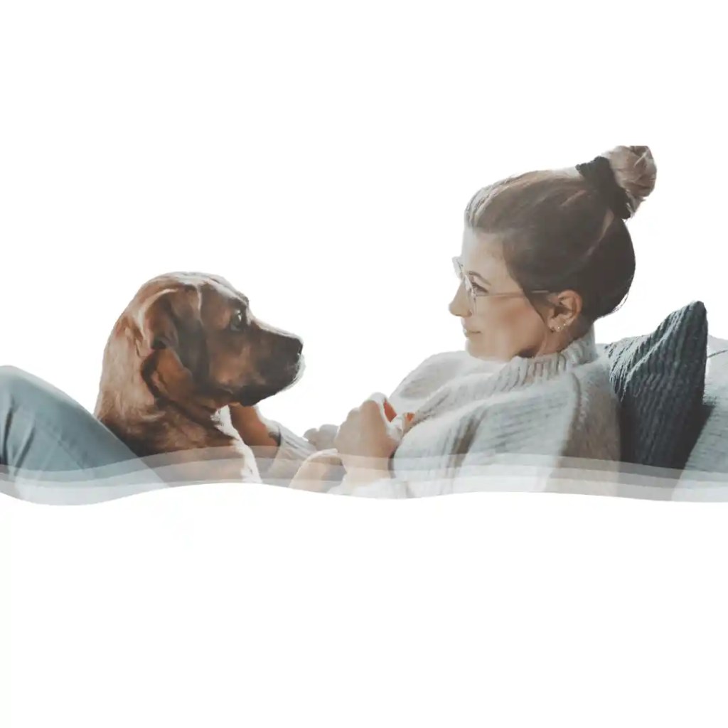 Aftercare Services