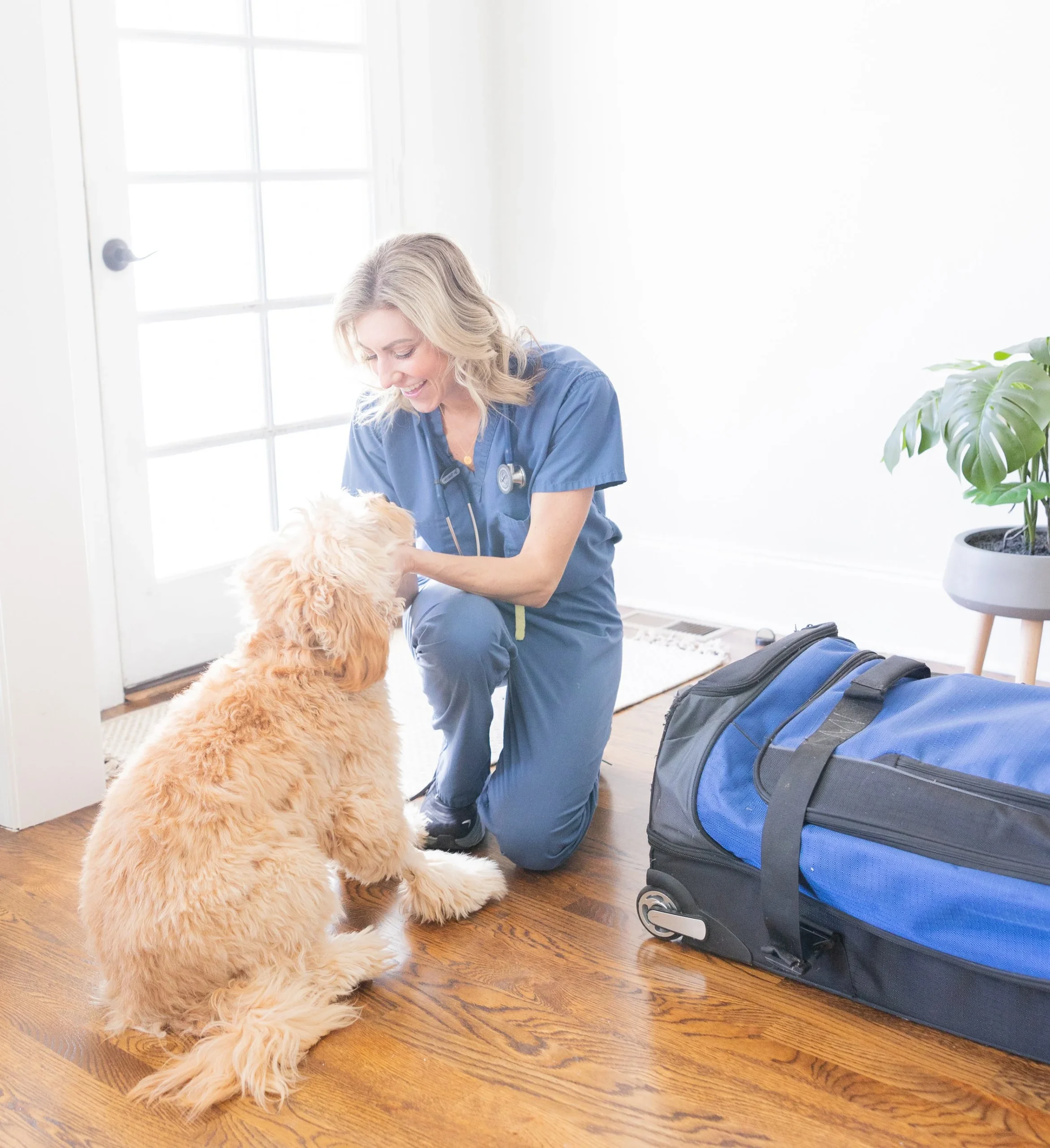 Veterinarian Gently Assessing Senior Dog During In home Quality of Life Visit