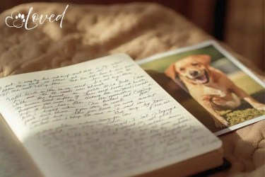 Memorialization Ideas to Honor Your Pet After Loss