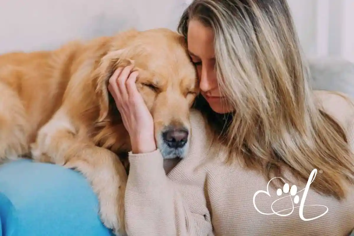 Pet Quality of Life: Making Decisions From Love, Not Fear