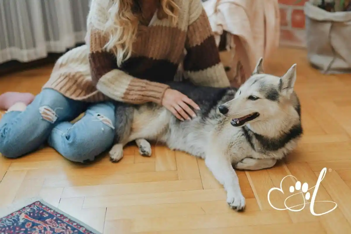 A family quietly watching over their pet at home