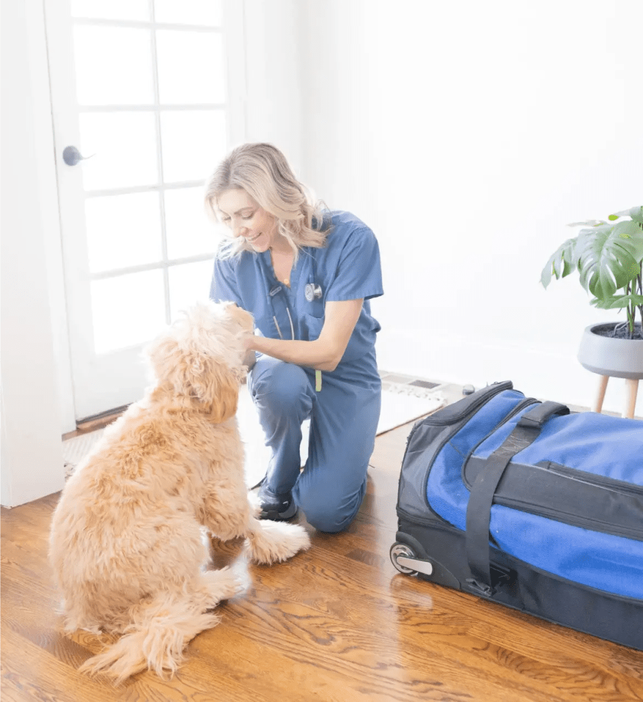 Vet with dog on a quality of life assesment
