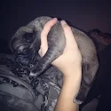 Lauren Ferro's pet
