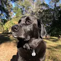 Leah Mohnkern's photo