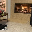 Bob Misak's photo
