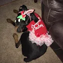 Jen Branney's photo