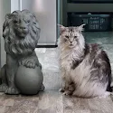 Cassie Melvin's pet