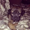 Lauren Ferro's photo