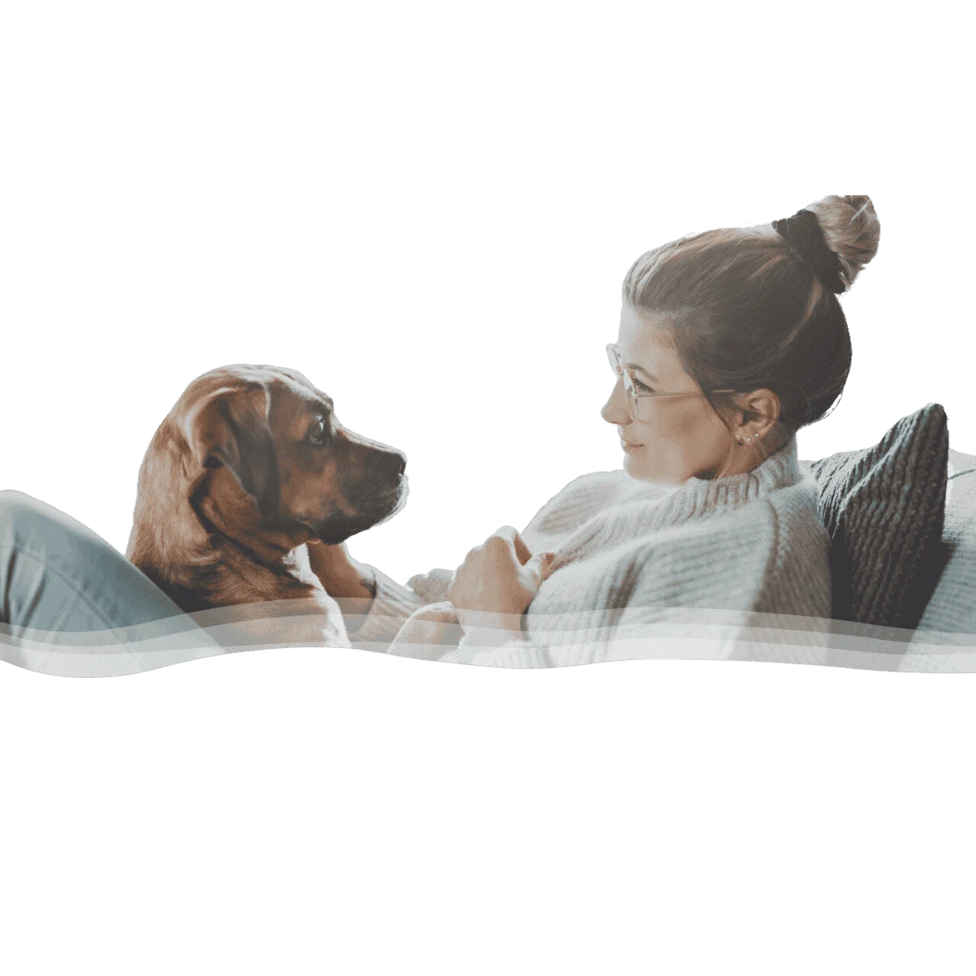 Loved Owner and Dog Eye to Eye